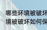 哪些环境被破坏怎样保护环境 哪些环境被破坏如何保护环境