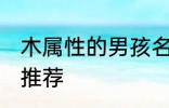 木属性的男孩名字 木属性的男孩名字推荐