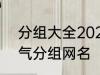 分组大全2022最新版的 高冷二字霸气分组网名