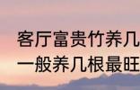 客厅富贵竹养几支最旺运 水养富贵竹一般养几根最旺财