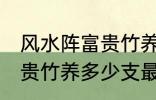 风水阵富贵竹养几支最旺运 风水阵富贵竹养多少支最旺运