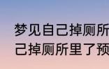 梦见自己掉厕所里了怎么回事 梦见自己掉厕所里了预兆什么