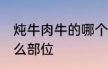 炖牛肉牛的哪个部位 炖牛肉牛选择什么部位