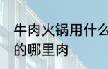 牛肉火锅用什么部位的肉 牛肉火锅用的哪里肉