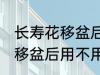 长寿花移盆后需要立刻浇水吗 长寿花移盆后用不用马上浇水