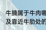 牛腩属于牛肉哪个部位 牛腩即牛腹部及靠近牛肋处的松软肌肉对吗