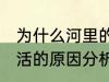 为什么河里的鱼养不活 河里的鱼养不活的原因分析