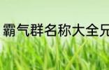 霸气群名称大全兄弟 霸气搞笑群昵称