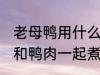 老母鸭用什么煲汤最好 哪些食物可以和鸭肉一起煮汤