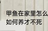 甲鱼在家里怎么养才不死 甲鱼在家里如何养才不死